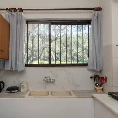 Arba Sulphur Springs & By 